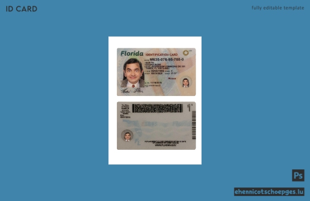 USA Florida Personalausweis – Beispielvorschau